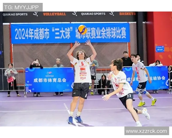 成都排球队实力引发热议球迷观点大相径庭的背后故事