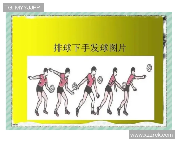 排球新手必看：轻松掌握节奏与技巧的入门指南