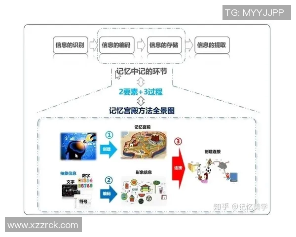 上海乒乓球队包夹战术的创新与发展全景解析
