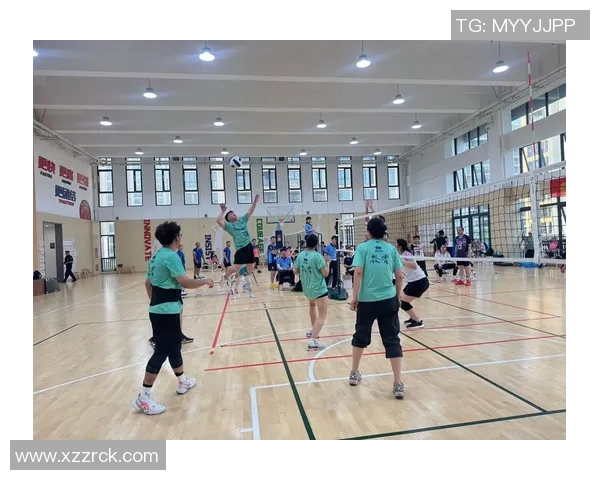 上海排球队的节奏揭秘：从训练到比赛的精彩瞬间与背后故事