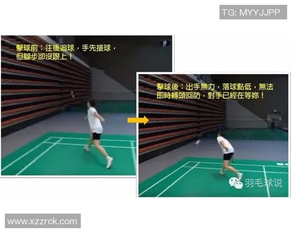 南京羽毛球队区域防守战术解析与实战应用探讨 南京羽毛球队区域防守战术解析与实战应用探讨