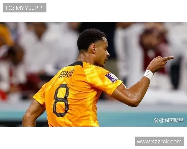 加克波：从新星崛起到足球巨星的奋斗历程与未来展望