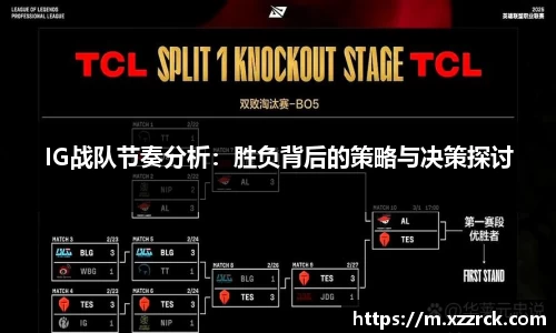 3377体育官网