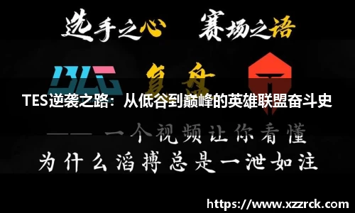 3377体育官网