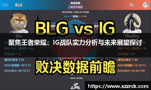 3377体育官网