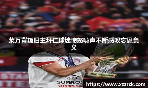 3377体育官网入口网页版